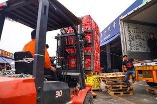 海峽兩岸攜手，滯銷水果變暢銷——物流城倉儲服務(wù)助力臺農(nóng)脫困